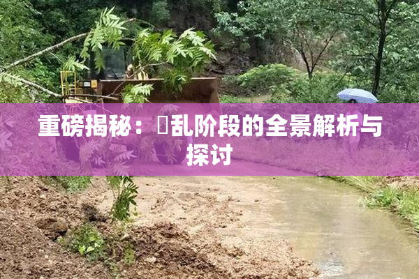 重磅揭秘：婬乱阶段的全景解析与探讨