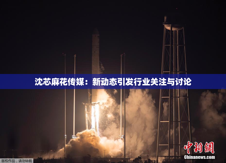 沈芯麻花传媒：新动态引发行业关注与讨论