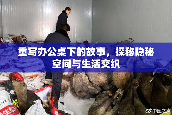 重写办公桌下的故事，探秘隐秘空间与生活交织