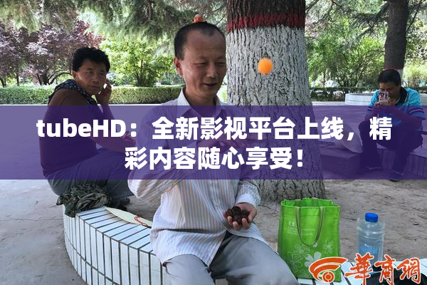 tubeHD：全新影视平台上线，精彩内容随心享受！
