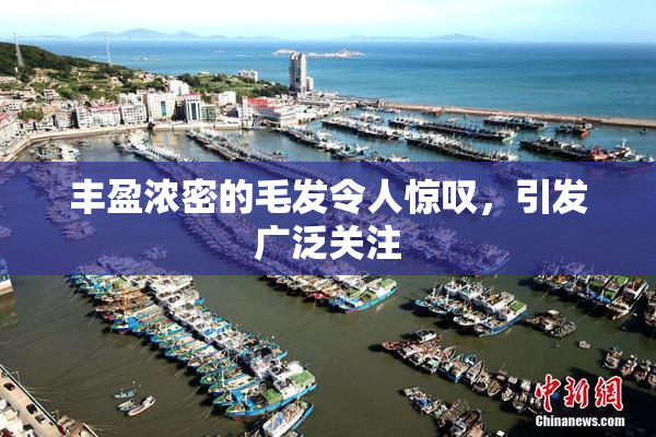 丰盈浓密的毛发令人惊叹，引发广泛关注