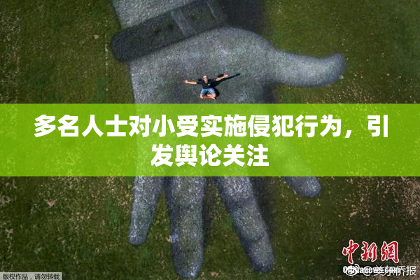多名人士对小受实施侵犯行为，引发舆论关注