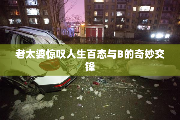 老太婆惊叹人生百态与B的奇妙交锋