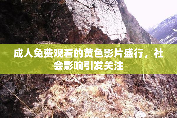 成人免费观看的黄色影片盛行，社会影响引发关注