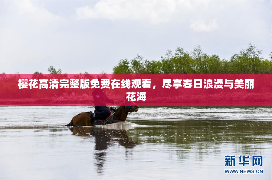 樱花高清完整版免费在线观看，尽享春日浪漫与美丽花海