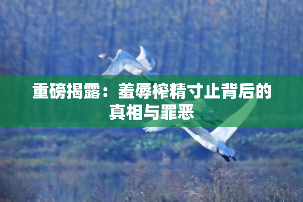 重磅揭露：羞辱榨精寸止背后的真相与罪恶