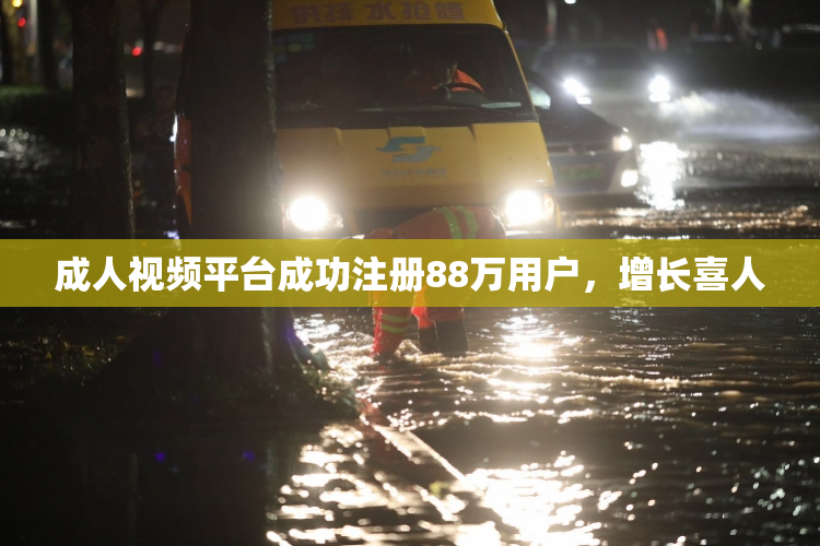 成人视频平台成功注册88万用户，增长喜人