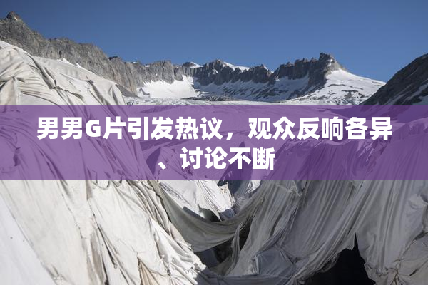 男男G片引发热议，观众反响各异、讨论不断