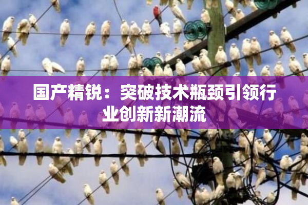 国产精锐：突破技术瓶颈引领行业创新新潮流