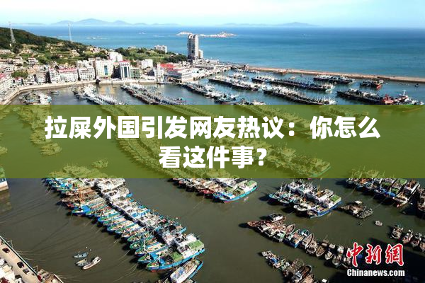 拉屎外国引发网友热议：你怎么看这件事？