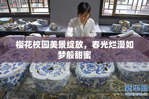 樱花校园美景绽放，春光烂漫如梦般甜蜜