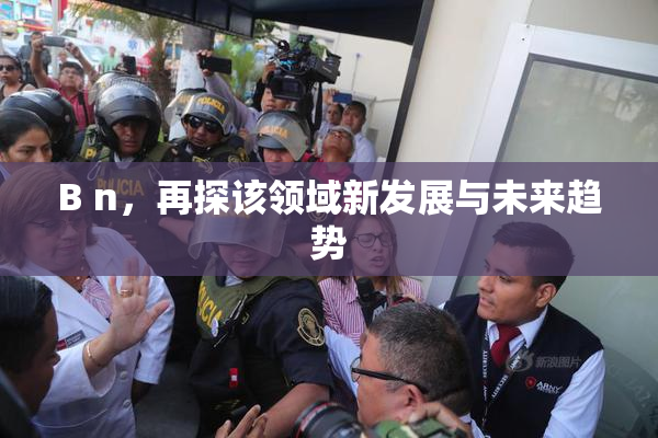 B n，再探该领域新发展与未来趋势