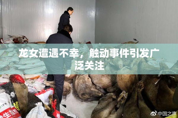 龙女遭遇不幸，触动事件引发广泛关注