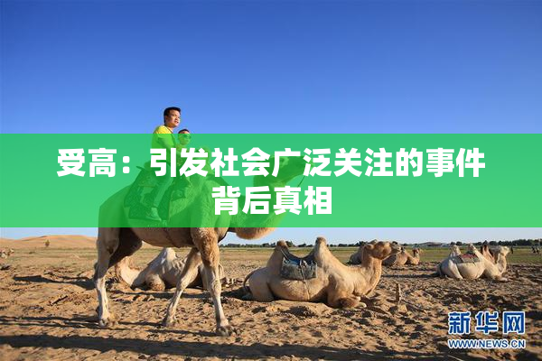 受高：引发社会广泛关注的事件背后真相