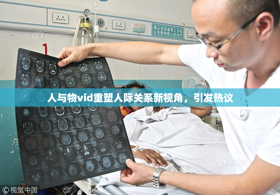 人与物vid重塑人际关系新视角，引发热议