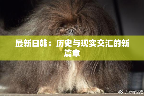 最新日韩：历史与现实交汇的新篇章