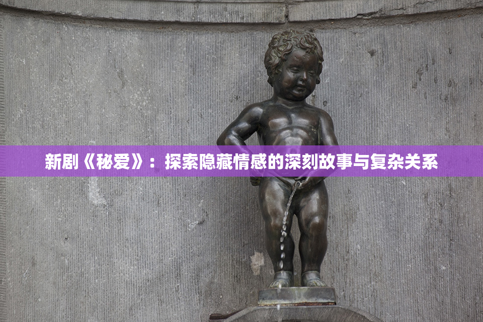 新剧《秘爱》：探索隐藏情感的深刻故事与复杂关系