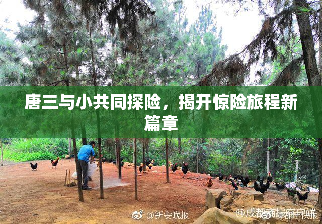 唐三与小共同探险，揭开惊险旅程新篇章
