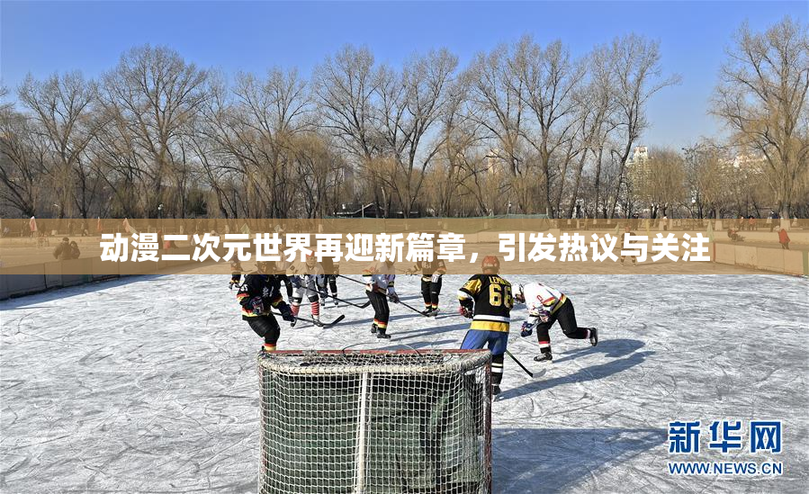 动漫二次元世界再迎新篇章，引发热议与关注
