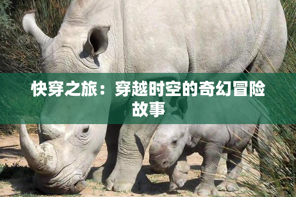 快穿之旅：穿越时空的奇幻冒险故事
