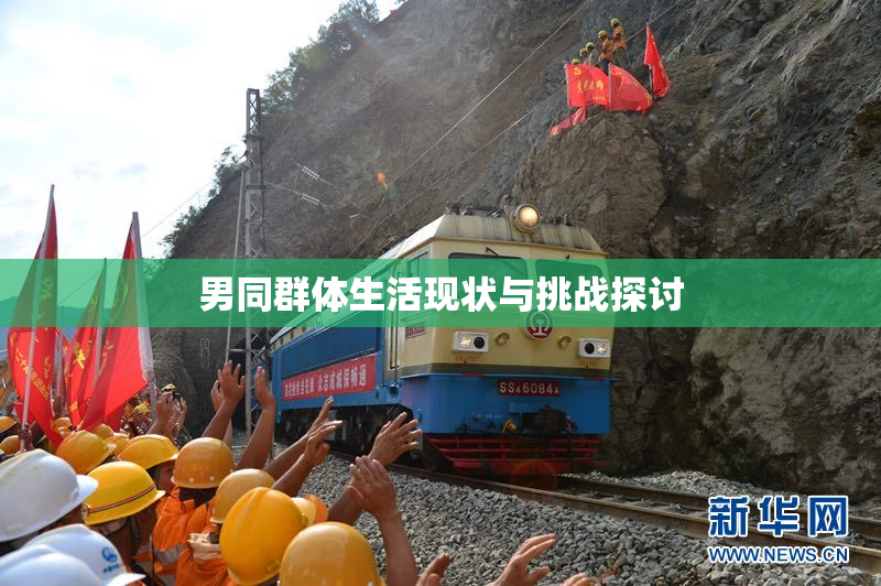 男同群体生活现状与挑战探讨