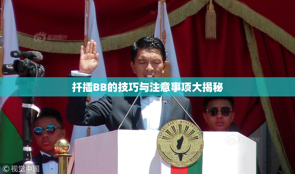扦插BB的技巧与注意事项大揭秘