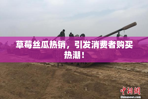 草莓丝瓜热销，引发消费者购买热潮！