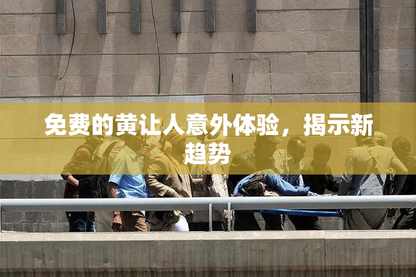 免费的黄让人意外体验，揭示新趋势