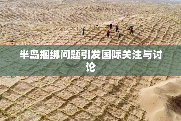 半岛捆绑问题引发国际关注与讨论
