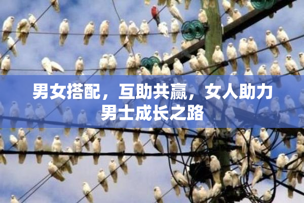 男女搭配，互助共赢，女人助力男士成长之路