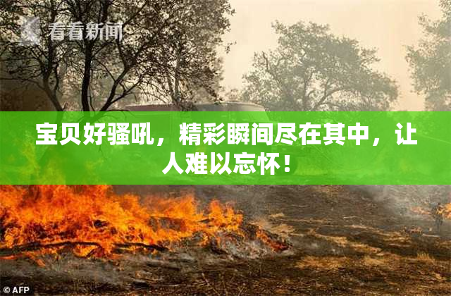宝贝好骚吼，精彩瞬间尽在其中，让人难以忘怀！