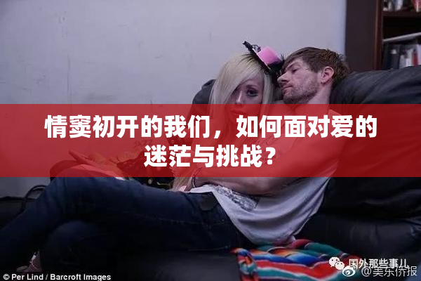 情窦初开的我们，如何面对爱的迷茫与挑战？