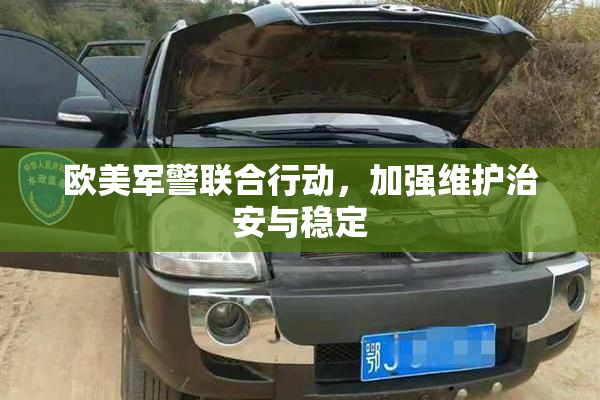 欧美军警联合行动，加强维护治安与稳定