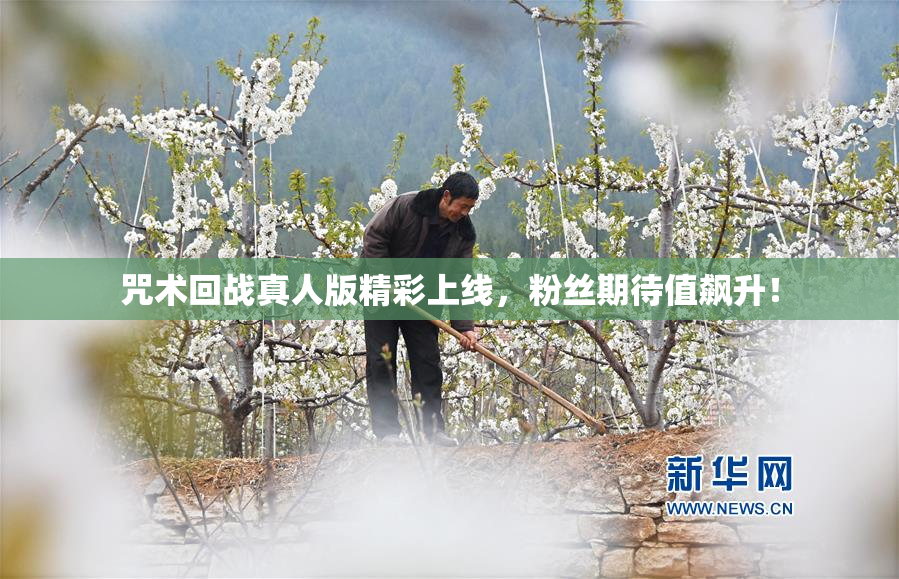 咒术回战真人版精彩上线，粉丝期待值飙升！
