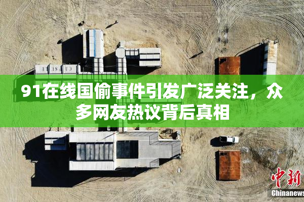 91在线国偷事件引发广泛关注，众多网友热议背后真相