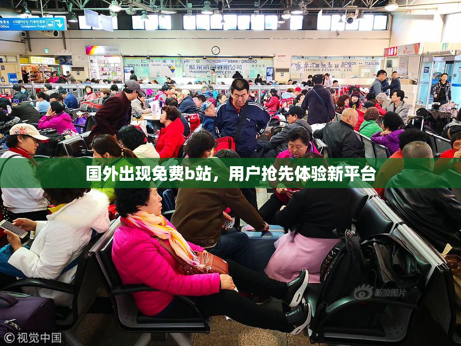 国外出现免费b站，用户抢先体验新平台