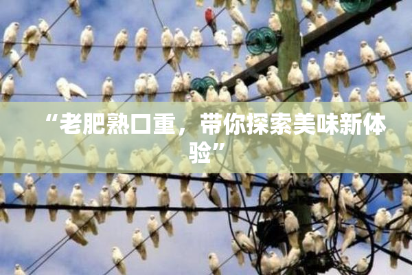 “老肥熟口重，带你探索美味新体验”
