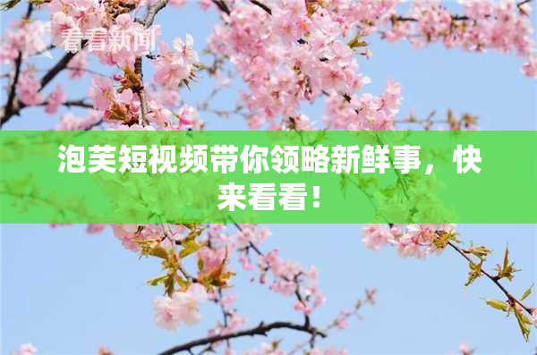 泡芙短视频带你领略新鲜事，快来看看！