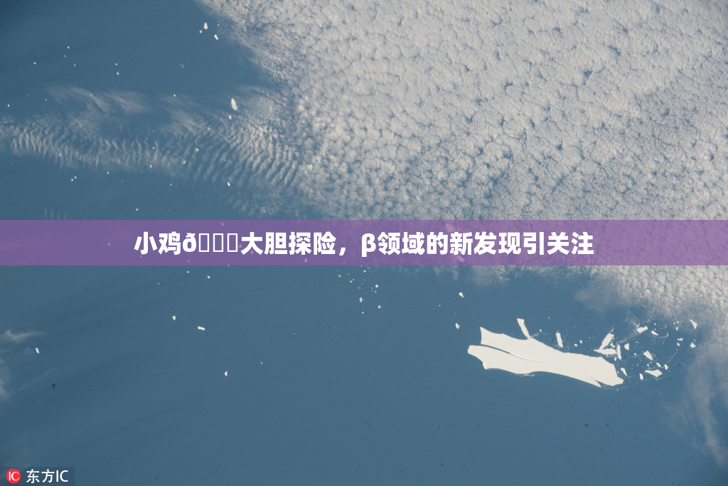 小鸡🐔大胆探险，β领域的新发现引关注