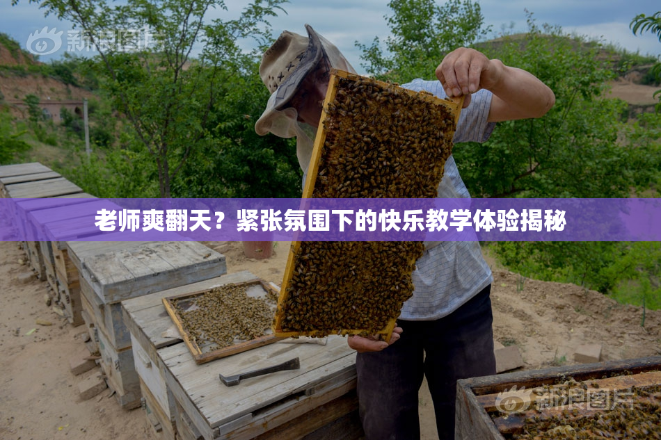老师爽翻天？紧张氛围下的快乐教学体验揭秘
