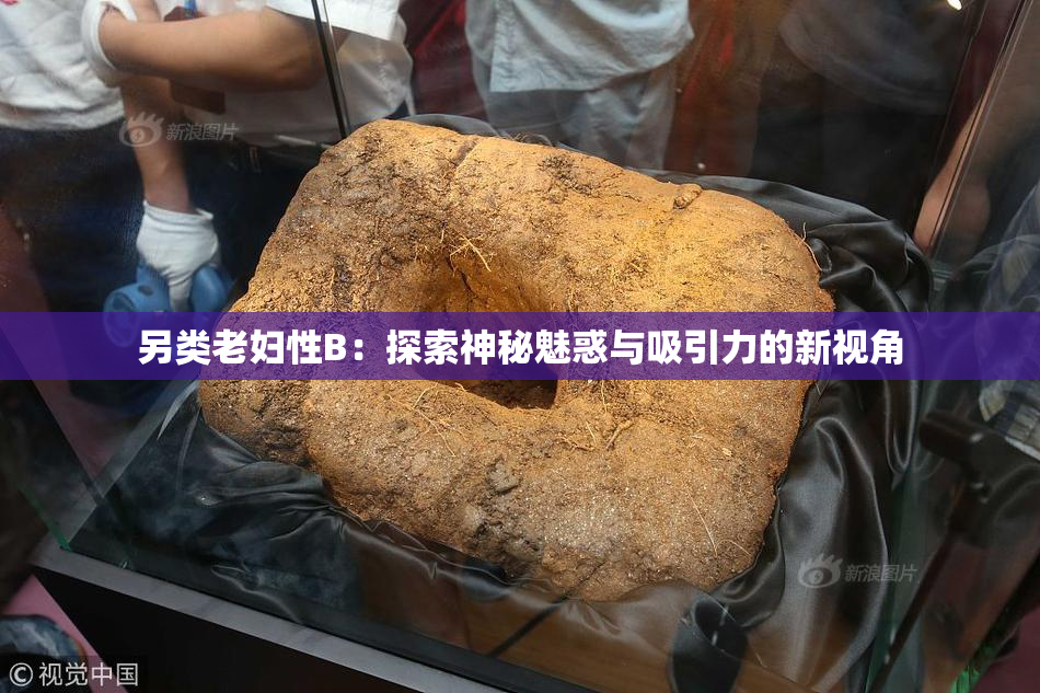 另类老妇性B：探索神秘魅惑与吸引力的新视角
