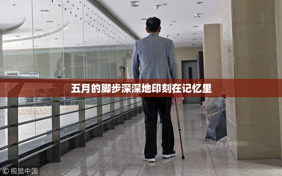 五月的脚步深深地印刻在记忆里