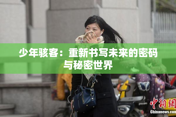 少年骇客：重新书写未来的密码与秘密世界