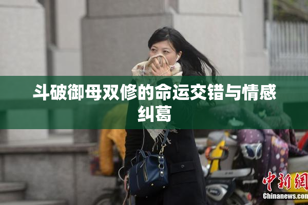 斗破御母双修的命运交错与情感纠葛