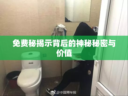 免费秘揭示背后的神秘秘密与价值