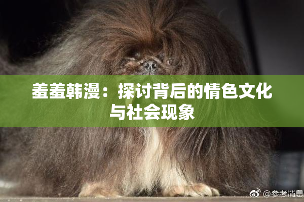 羞羞韩漫：探讨背后的情色文化与社会现象