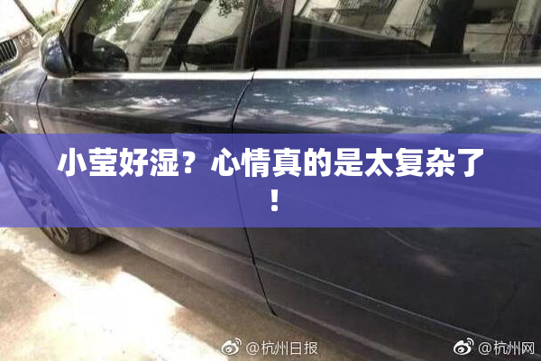 小莹好湿？心情真的是太复杂了！