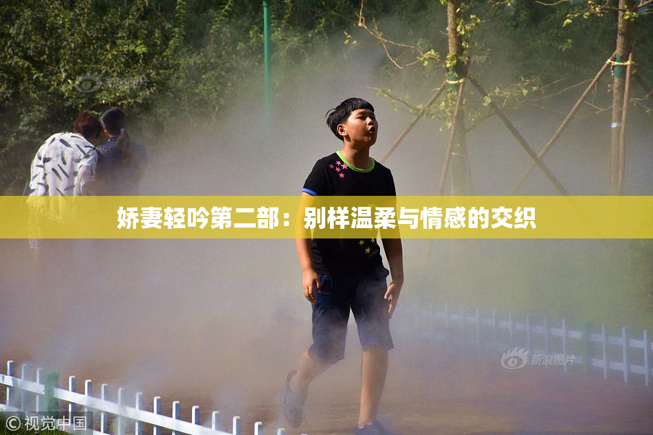 娇妻轻吟第二部：别样温柔与情感的交织