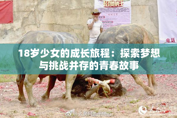 18岁少女的成长旅程：探索梦想与挑战并存的青春故事