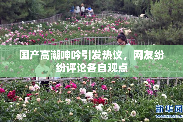 国产高潮呻吟引发热议，网友纷纷评论各自观点